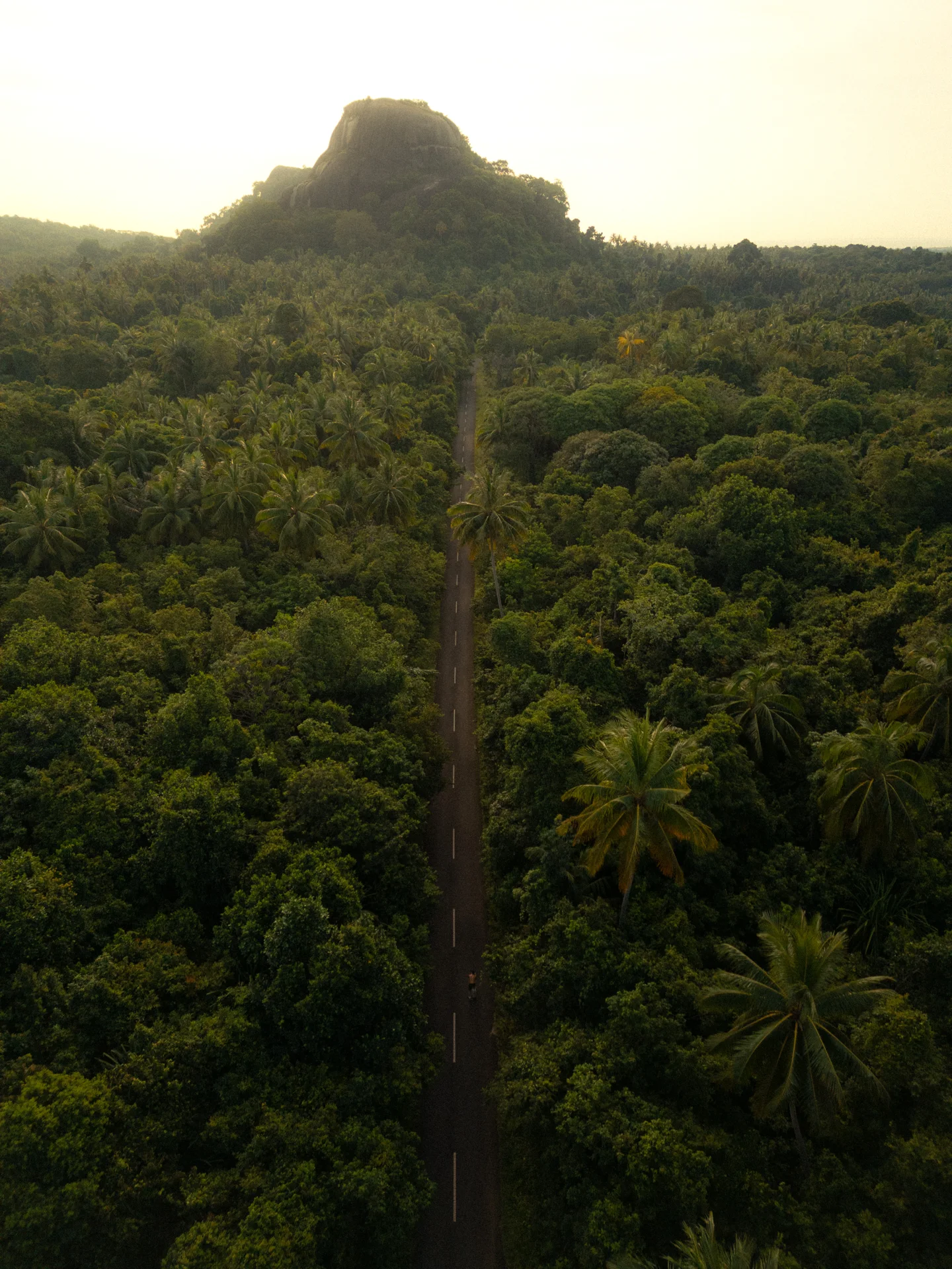 Through the green